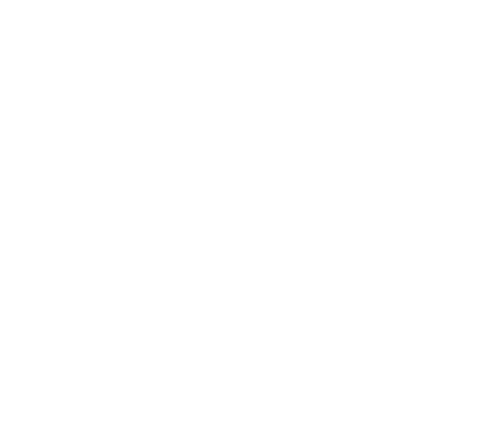 Icon: Long-lasting solutions