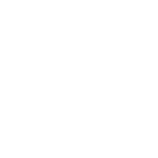 Icon: Protection