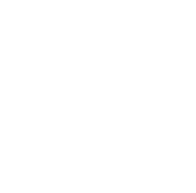 Icon: Advocacy & Legal Aid